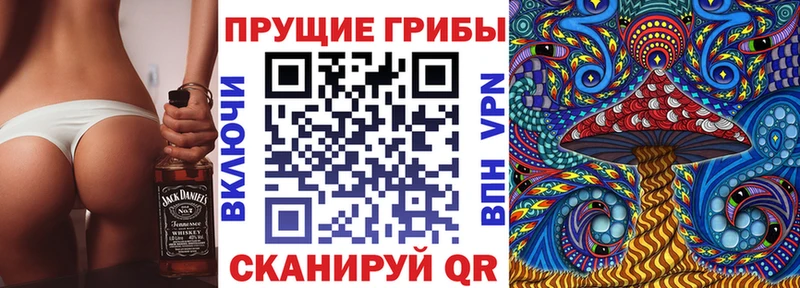 купить  сайты  Пролетарск  Псилоцибиновые грибы Cubensis 